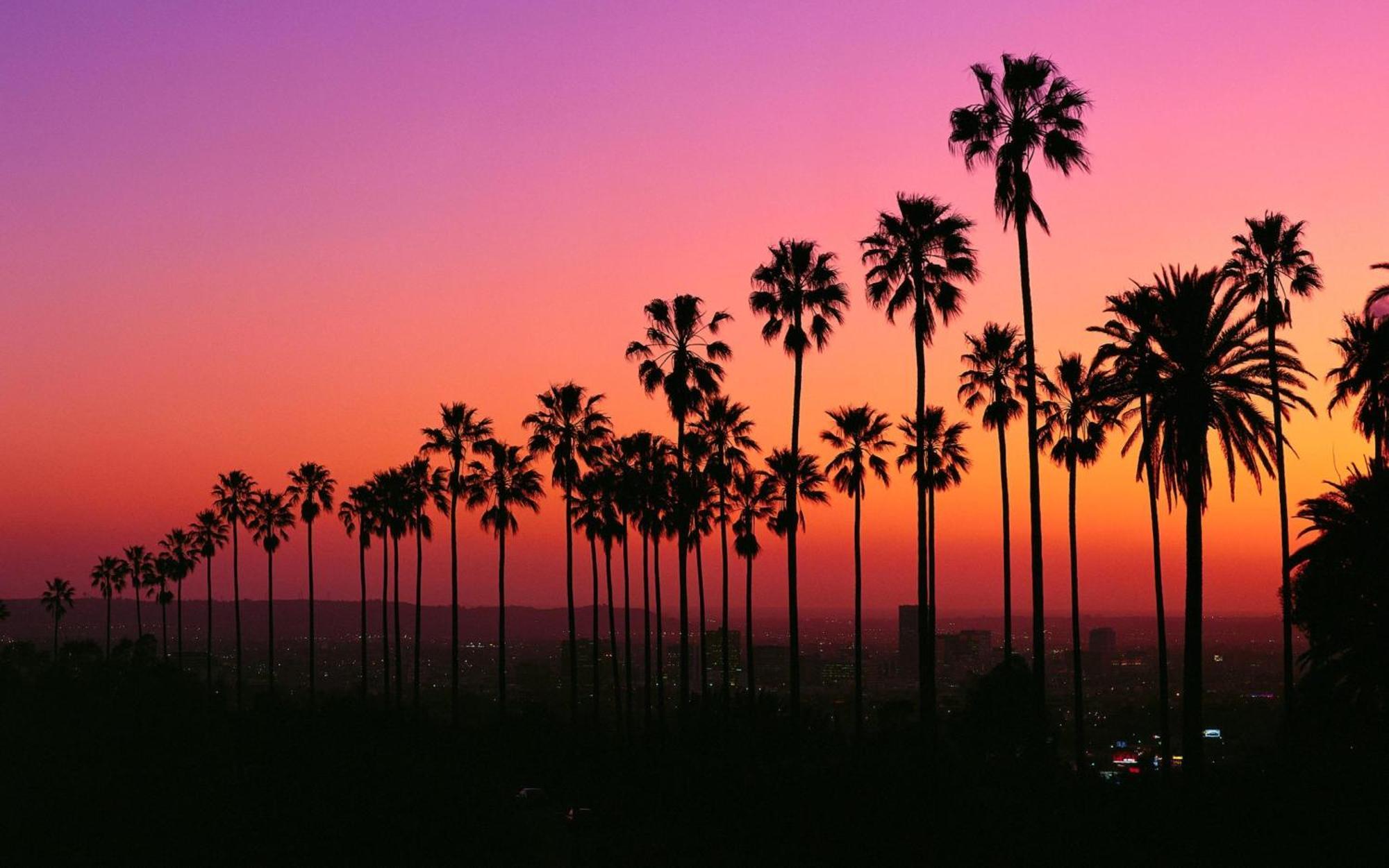 The Carlton - Modern-Lux 2 Master Suites-Secure Bldg & Parking- 5 Blks To Ocean Ave Los Angeles Eksteriør billede